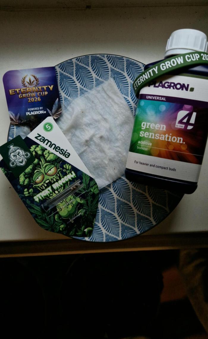 Sticky Broccoli - Eternity Grow Cup 2026. Week 0