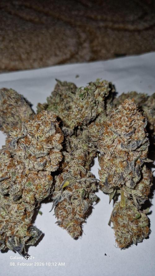 Wedding Cake. Week 16