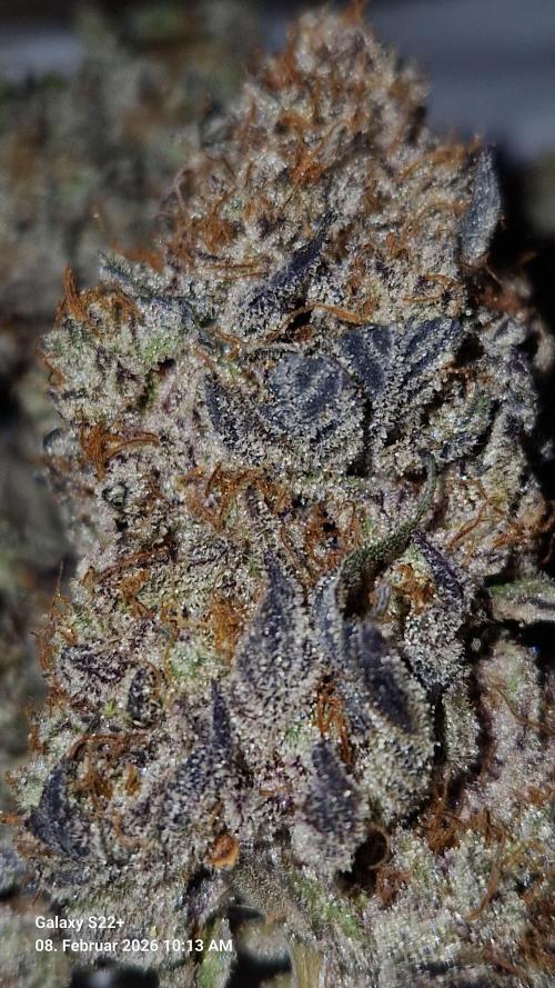 Wedding Cake. Week 16