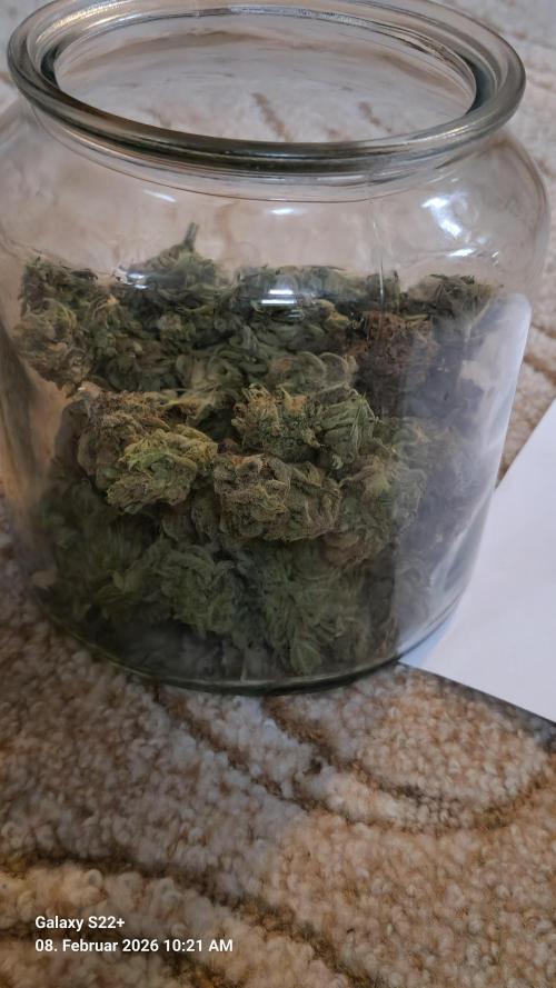 Bruce Banner 3. Week 16