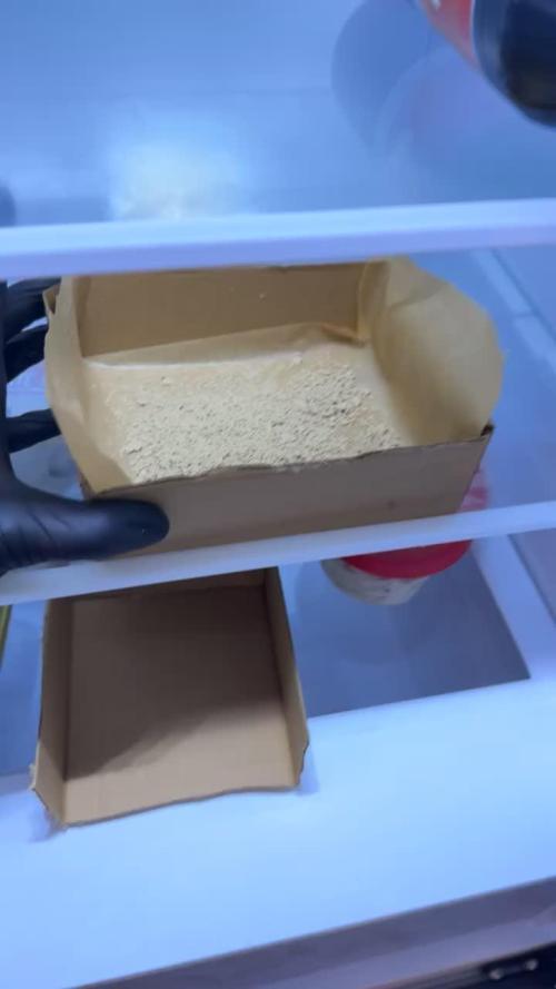 Fridgegrow 2.0 | Guava Auto RF3