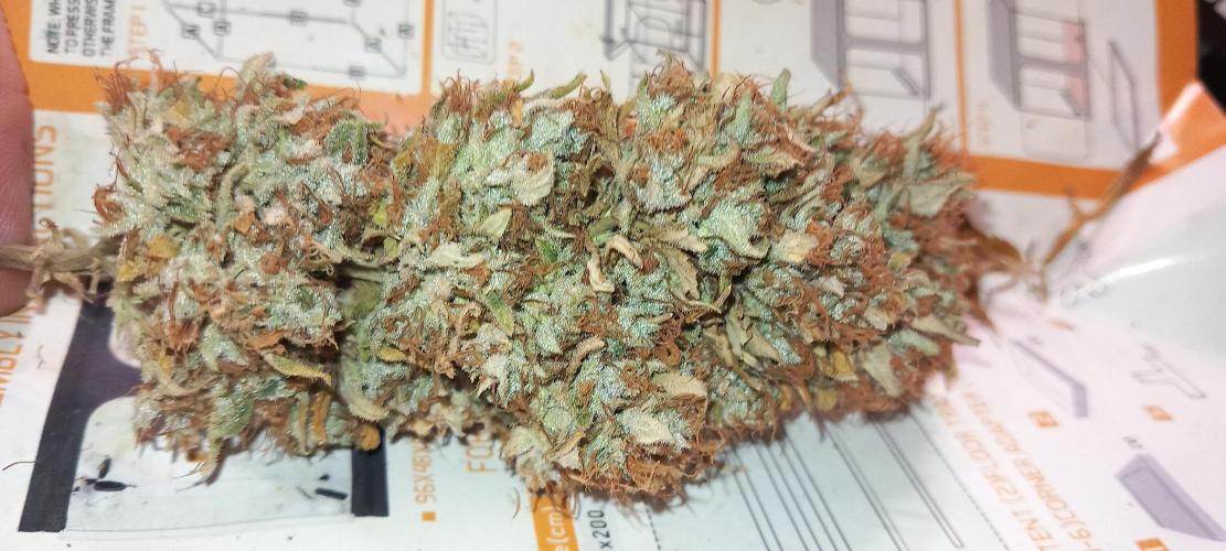 Haze Window. Week 26