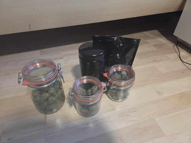HSC All Gas OG-Autopot  Coco. Week 15
