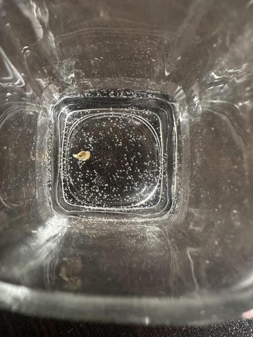 My First Auto. Week 0 - 6/5/26