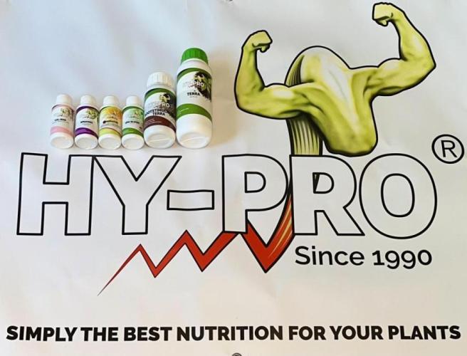 Big Hy-Pro buds for new years eve !. Week 8 - My nutrients of choice!