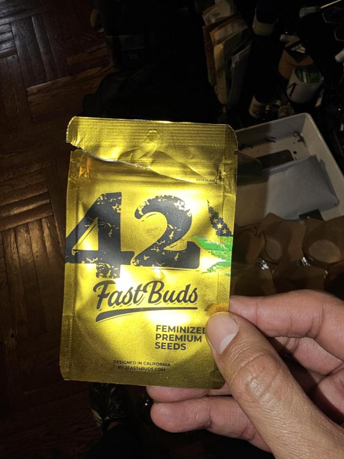 Fastbuds mix fem photos. Week 0