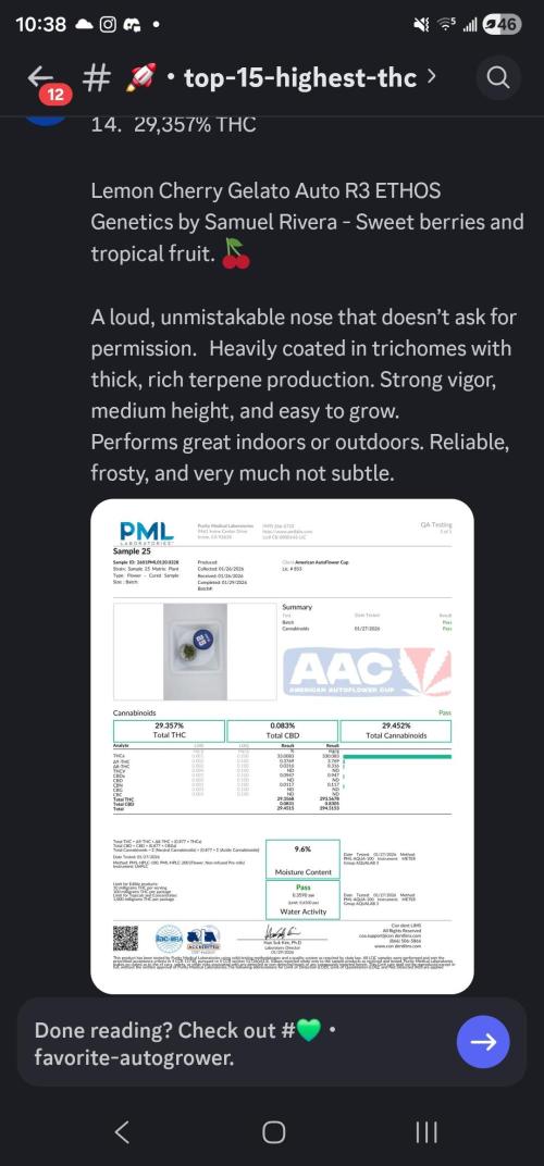 Dwc banana purple punch auto R3. Week 13 - 29% . Placed 14th