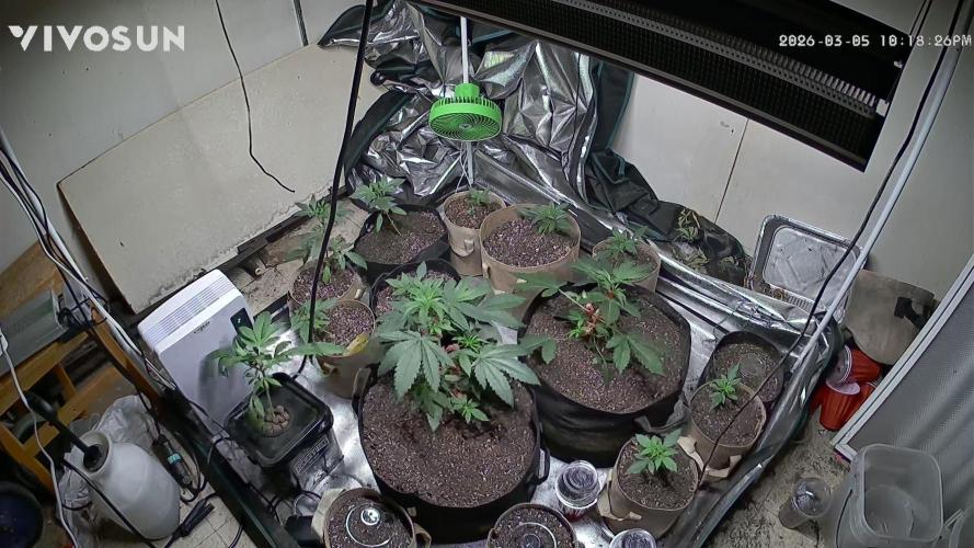 Fastbuds mix fem photos. Week 4 - I moved the photos