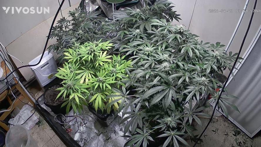 Fastbuds mix fem photos. Week 10