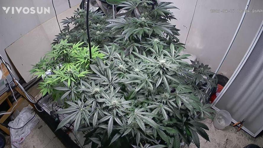 Fastbuds mix fem photos. Week 10