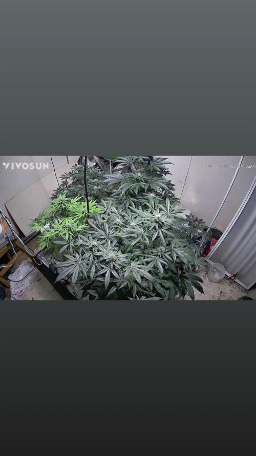 Fastbuds mix fem photos. Week 10