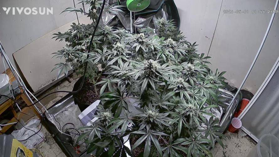 Fastbuds mix fem photos. Week 13
