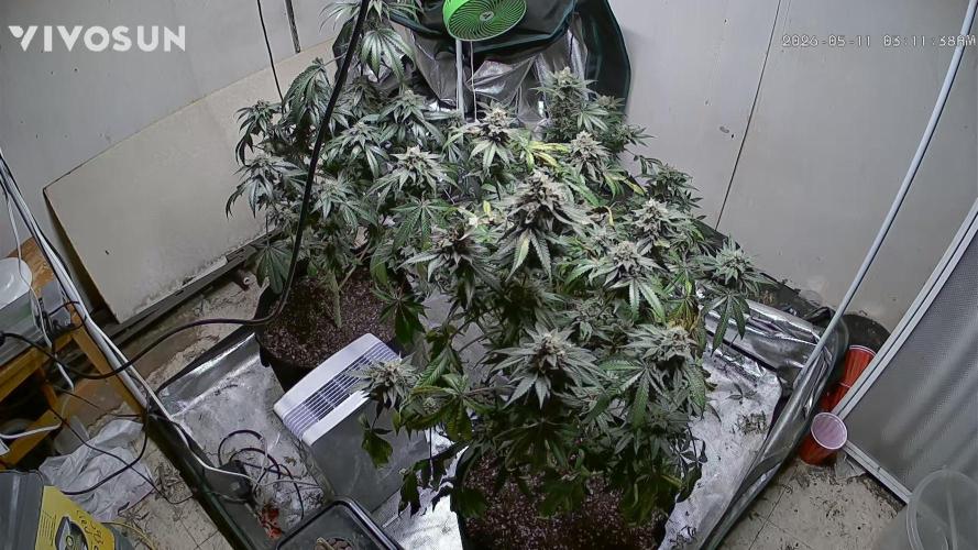 Fastbuds mix fem photos. Week 14