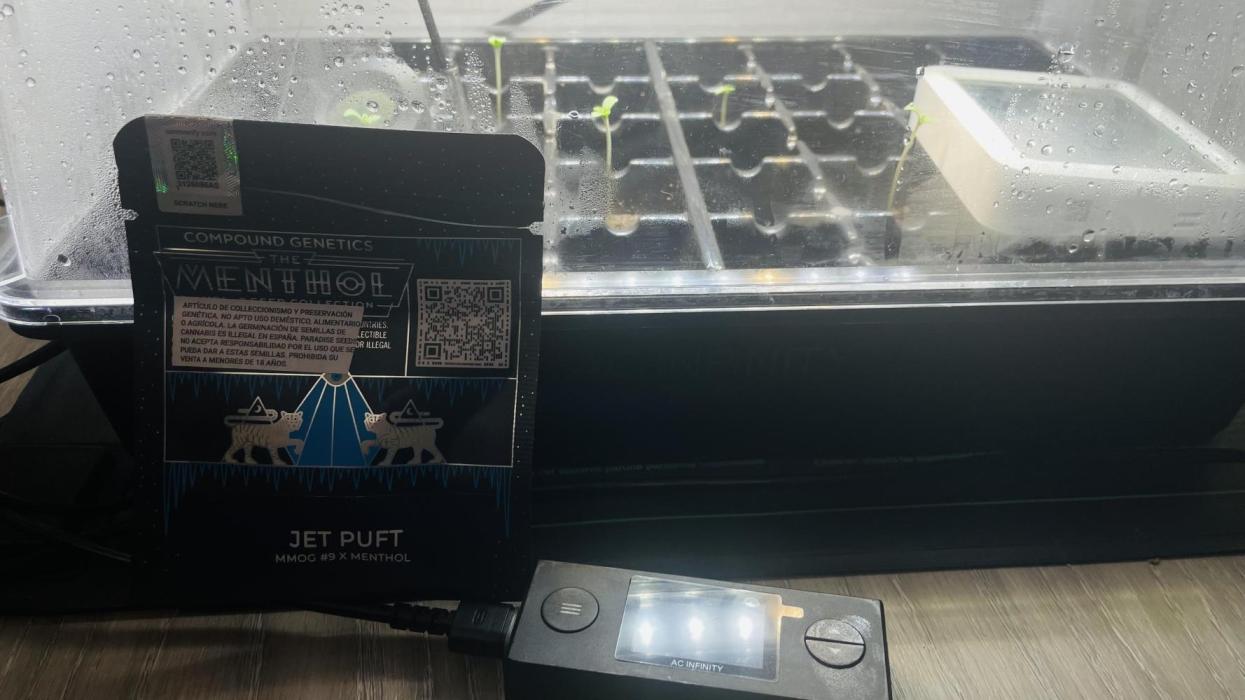 Jet Puft #1. Week 0