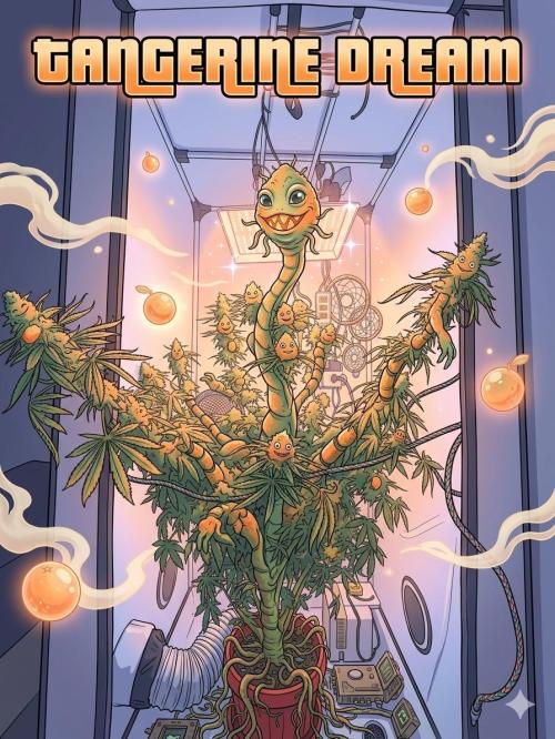 Tangerine Dream. Week 16