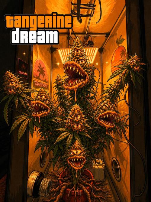 Tangerine Dream. Week 16