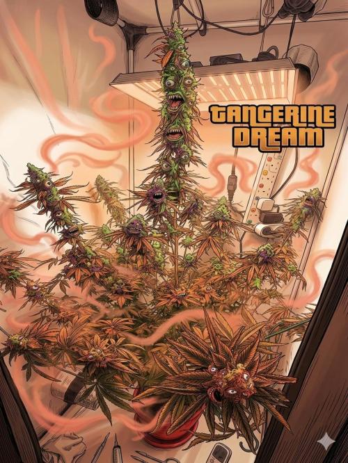 Tangerine Dream. Week 16