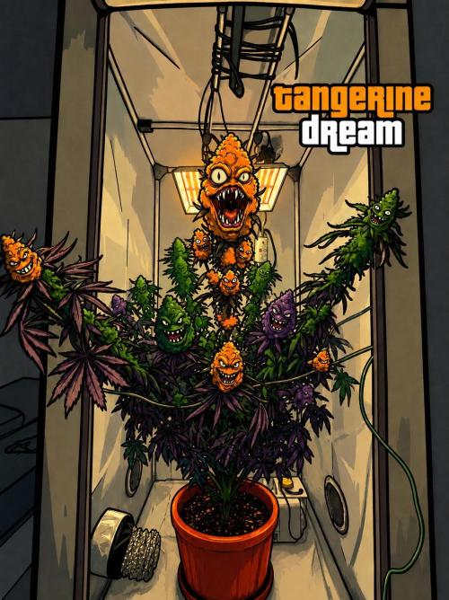 Tangerine Dream. Week 16
