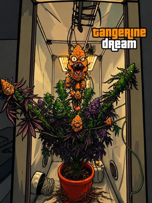 Tangerine Dream. Week 16