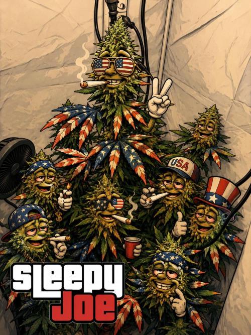 Sleepy Joe. Week 12