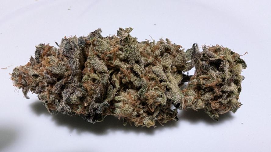 Bluzzi + Orange Limeade. Week 13 - Cured after 3+ months