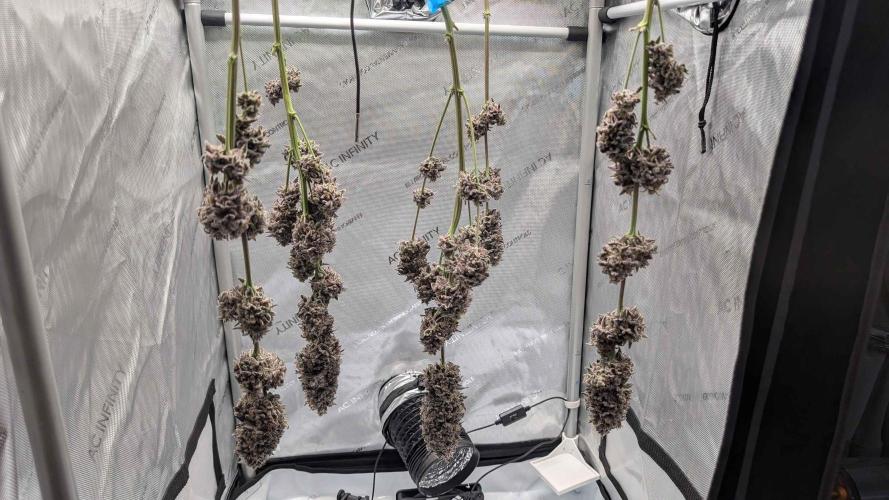 The old man and the ocean. Week 13