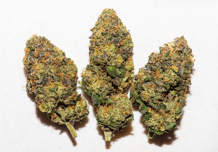 Garlic, Orange, Granny, Lum. Week 14 - Garlic Sherbet