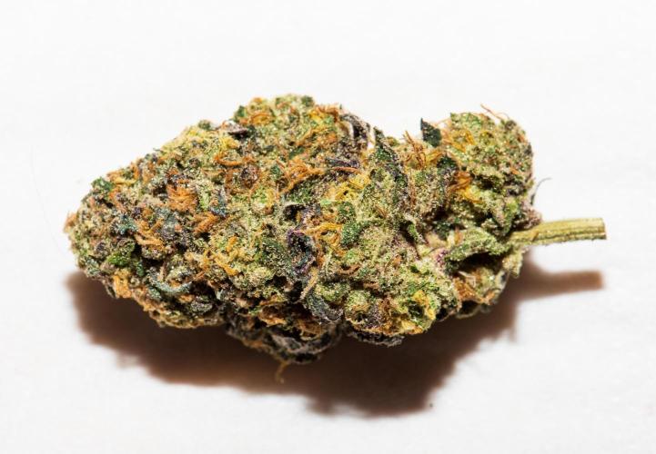 Garlic, Orange, Granny, Lum. Week 14