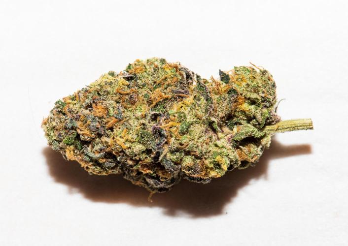 Garlic, Orange, Granny, Lum. Week 14