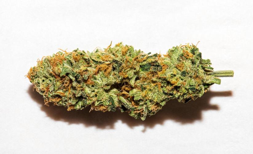 Garlic, Orange, Granny, Lum. Week 14