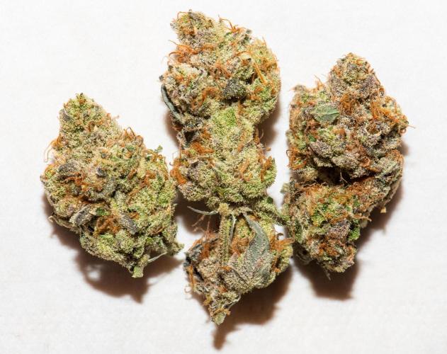 Garlic, Orange, Granny, Lum. Week 14