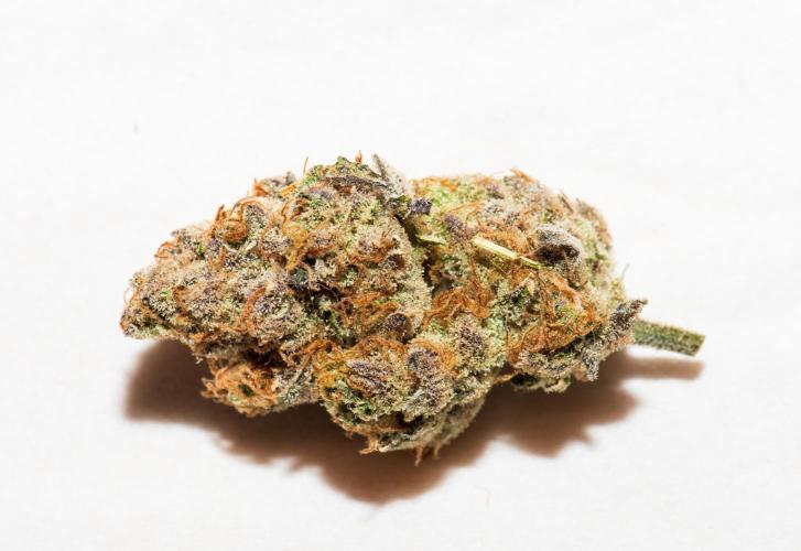 Garlic, Orange, Granny, Lum. Week 14