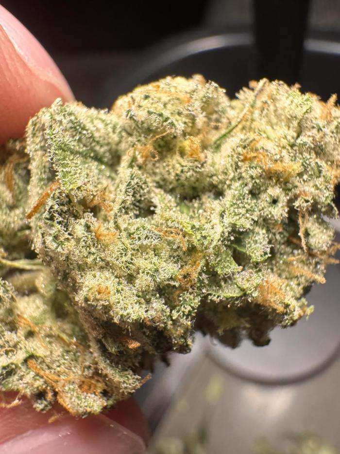 Papaya Zoap - Sweet Seeds. Week 10 -  