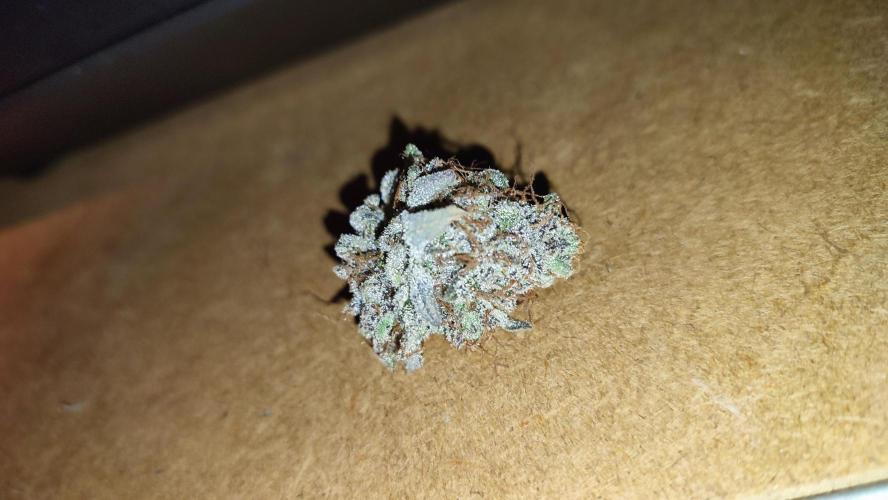 Insane og. Week 10
