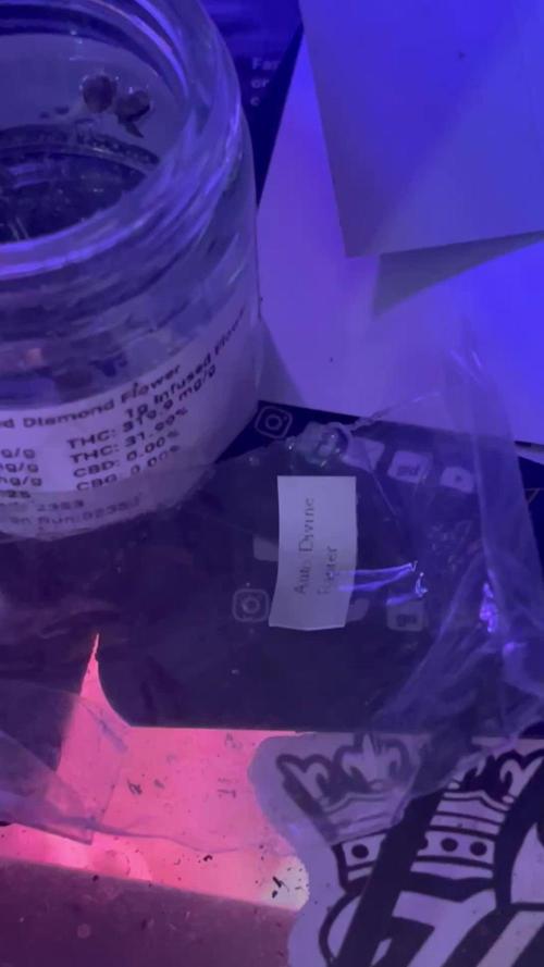 mftexans420too Growin in Gotham