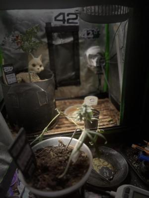 Comment by mftexans420too photo #1