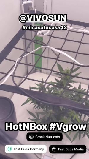 Comment by mftexans420too photo #2