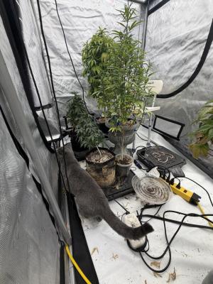Comment by mftexans420too photo #2