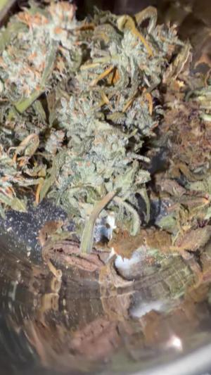 Comment by mftexans420too photo #2