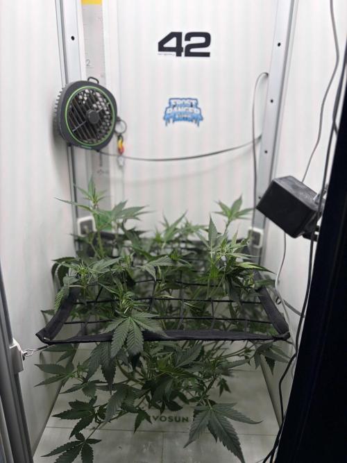 Prison Cell. Week 3