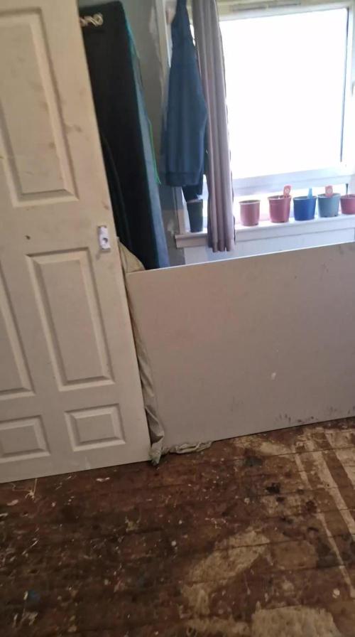 weedseedsexpress.com