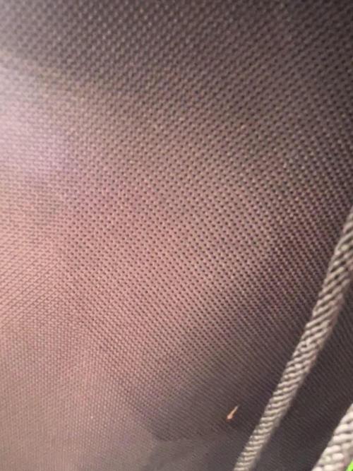 FB420 Rainbow Melon 🌈 🍈