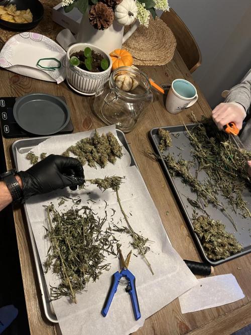 Chill Out OG F4. Week 16