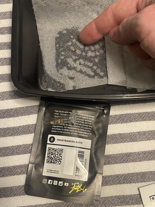 Frostbanger Winter Grow. Week 0