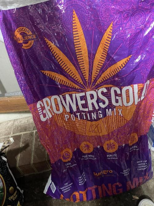 Frostbanger Winter Grow. Week 0