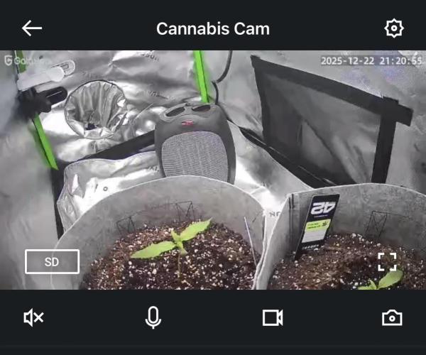 Frostbanger Winter Grow. Week 1