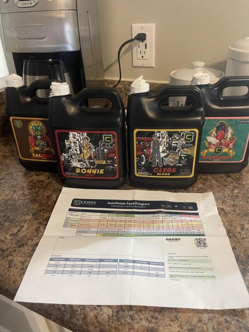 Frostbanger Winter Grow. Week 1