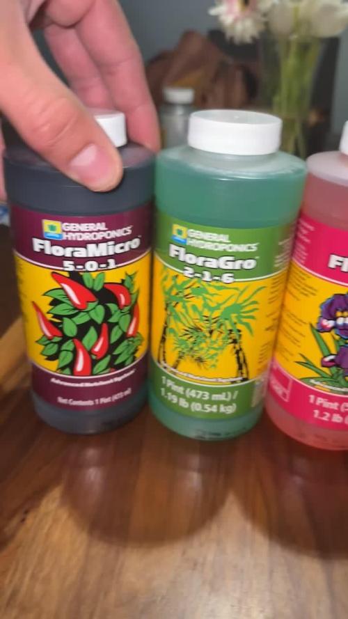 DWC AUTOFLOWER FIRST GROW, GODS GREEN CRACK- CATARACT KUSH.