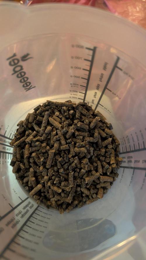 Ganja Farmer OG KuSH Fast VGrow. Week 0