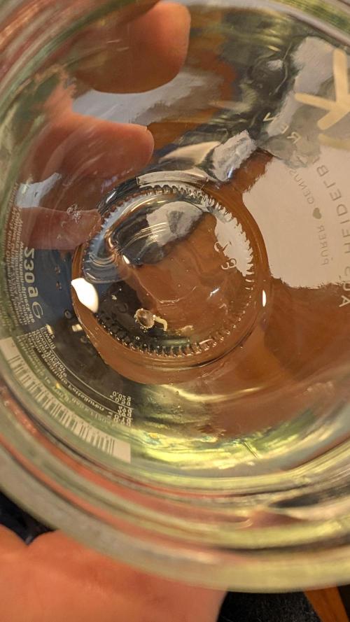 Ganja Farmer OG KuSH Fast VGrow. Week 0